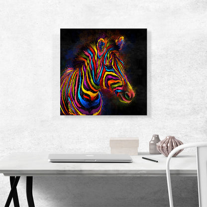 Zebra Colorful Stripes Africa