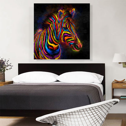 Zebra Colorful Stripes Africa