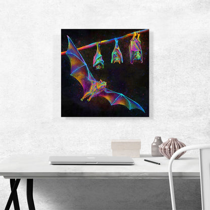 Bat Chiroptera Flying Hanging
