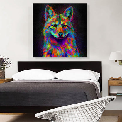 Coyote Colorful Animal