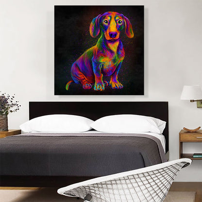 Dachshund Colorful Animal Dog