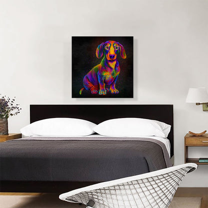 Dachshund Colorful Animal Dog