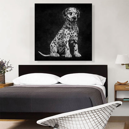 Dalmatian Dog Puppy Spots Black White Spots