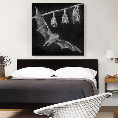 Bat Chiroptera Flying Hanging Black White