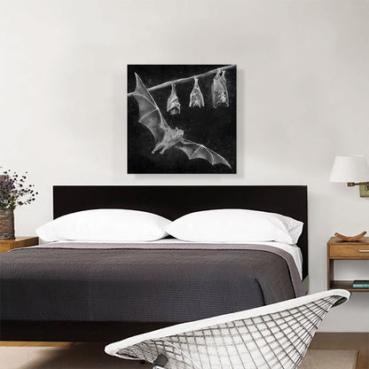 Bat Chiroptera Flying Hanging Black White