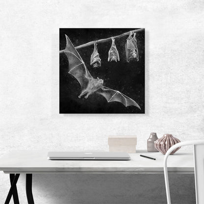 Bat Chiroptera Flying Hanging Black White