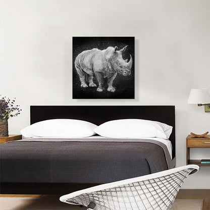 Black Rhinoceros Rhino Africa Black White