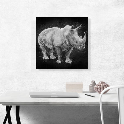 Black Rhinoceros Rhino Africa Black White