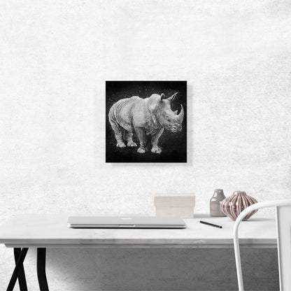 Black Rhinoceros Rhino Africa Black White
