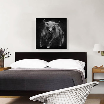 Bull Cattle Steer Animal Black White