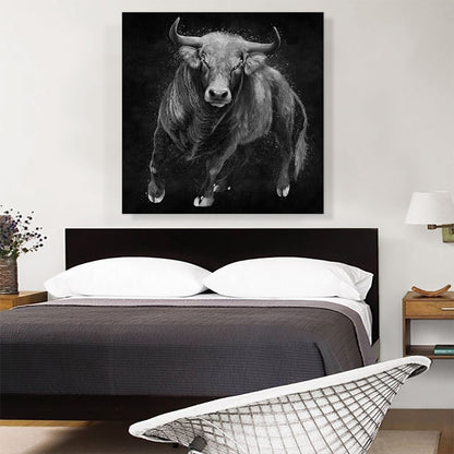 Bull Cattle Steer Animal Black White