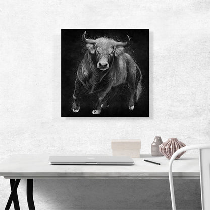 Bull Cattle Steer Animal Black White