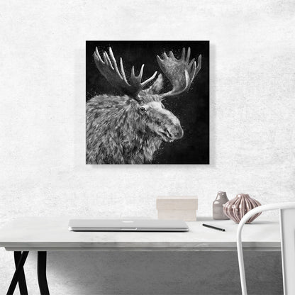Bull Moose Elk Antlers Black White