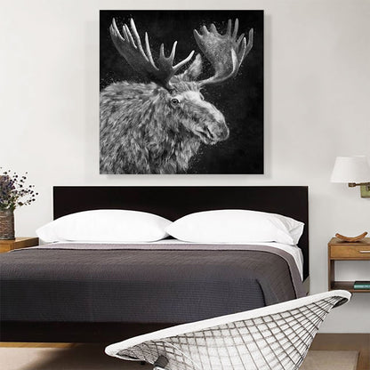 Bull Moose Elk Antlers Black White