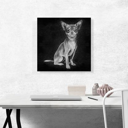 Chihuahua Mexican Dog Black White