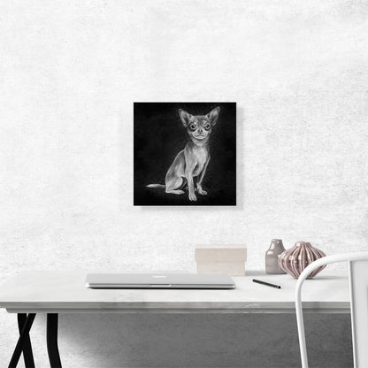 Chihuahua Mexican Dog Black White