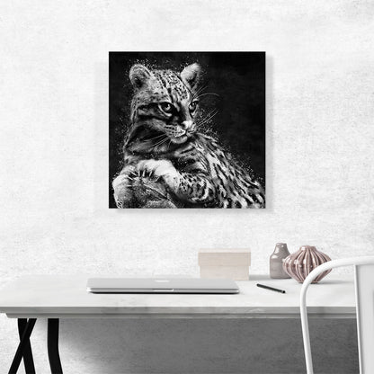 Ocelot Cat Animal Black White