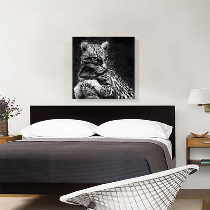 Ocelot Cat Animal Black White