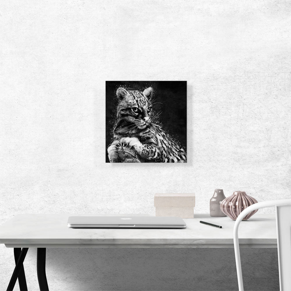 Ocelot Cat Animal Black White