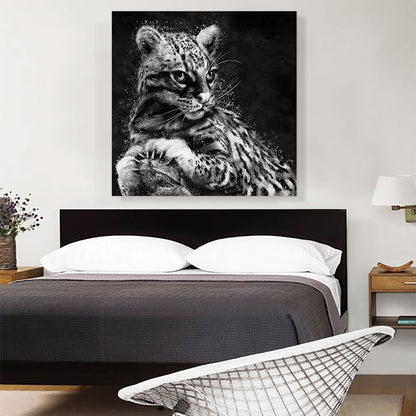 Ocelot Cat Animal Black White