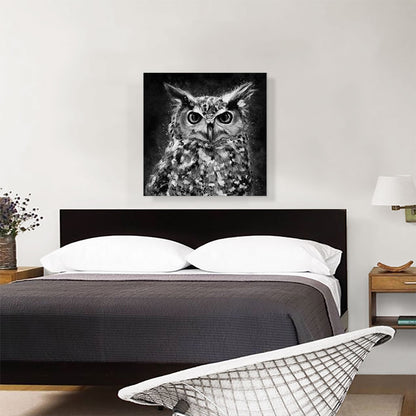 Owl Nocturnal Bird of Prey Barn Black White