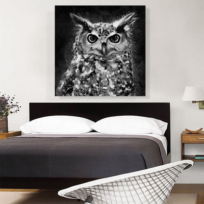 Owl Nocturnal Bird of Prey Barn Black White