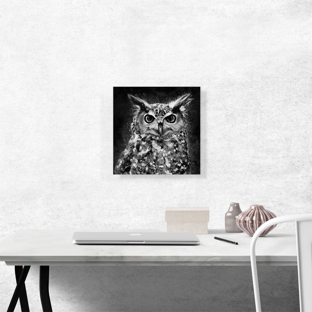 Owl Nocturnal Bird of Prey Barn Black White