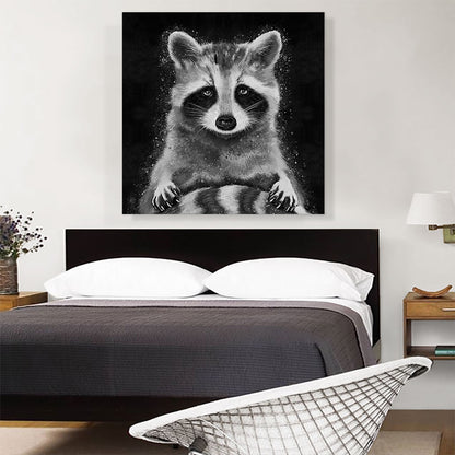 Raccoon Racoon Animal Black White