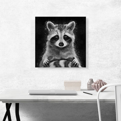 Raccoon Racoon Animal Black White