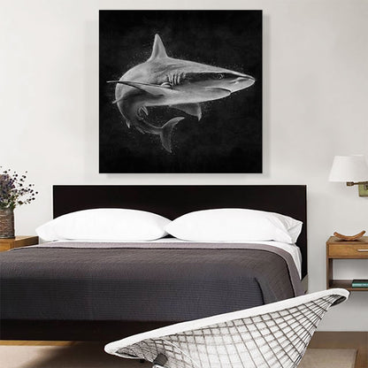 Shark Fish Shortfin Mako Tiger Ocean Sea Black White