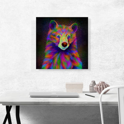 Black Bear