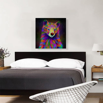Black Bear