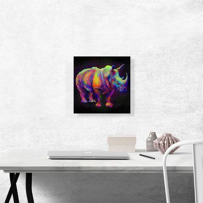 Black Rhinoceros Rhino Africa