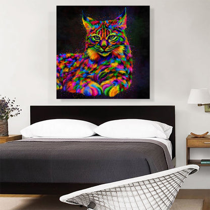 Bobcat Cat Animal