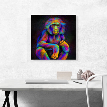 Bonobo Monkey Pygmy Chimpanzee Africa Great Ape