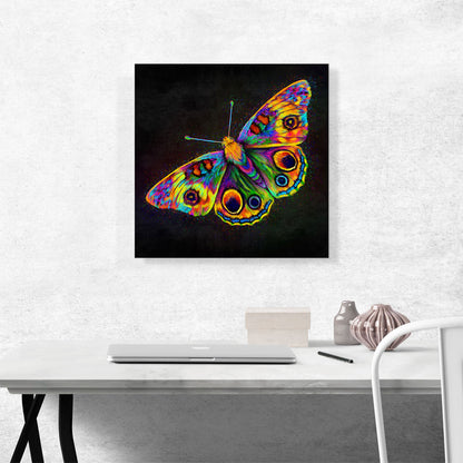 Butterfly Wings Insect