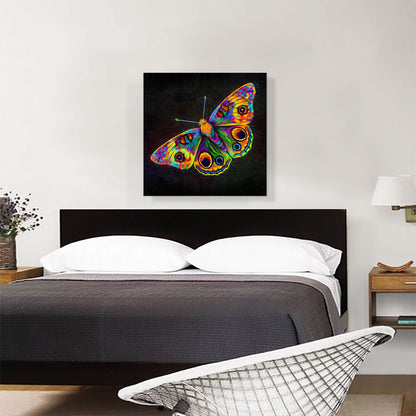 Butterfly Wings Insect