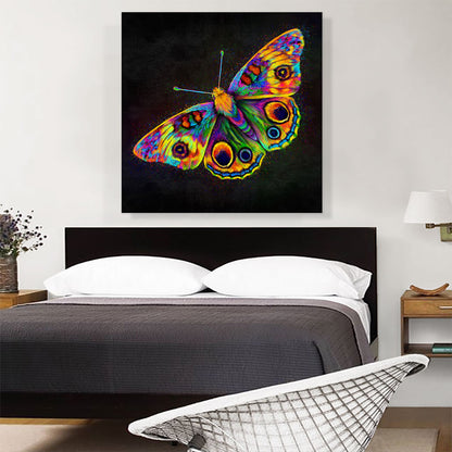 Butterfly Wings Insect