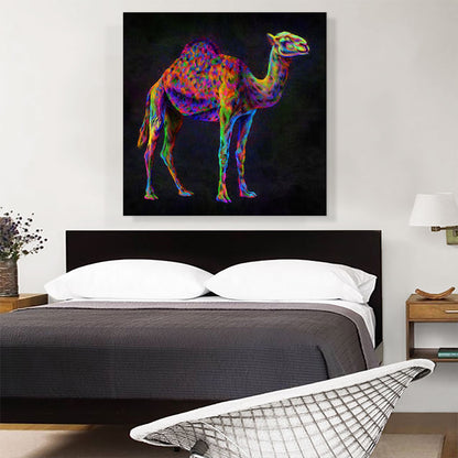 Camel Hump Desert