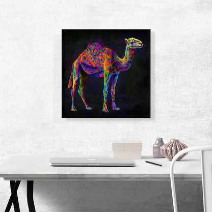 Camel Hump Desert