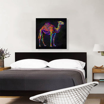 Camel Hump Desert