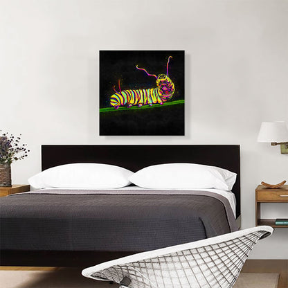 Caterpillar Insect Animal