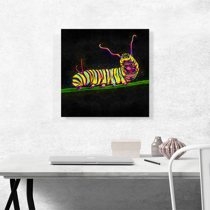 Caterpillar Insect Animal