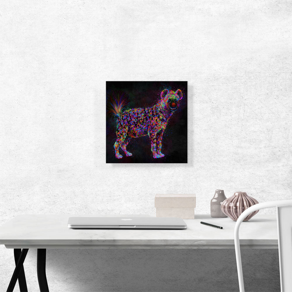African Spotted Hyena