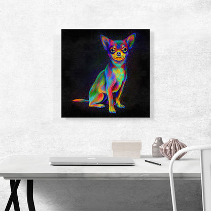 Chihuahua Mexican Dog