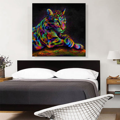 Clouded Leopard Wild Himalayan Cat