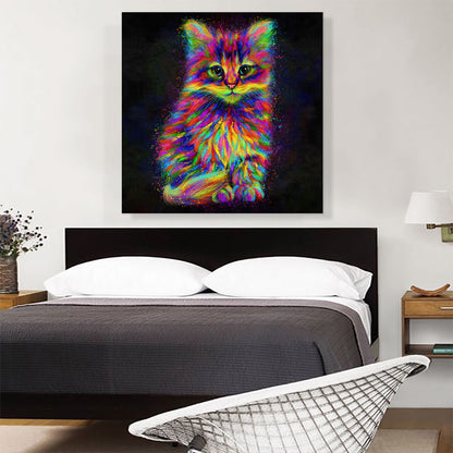 Cute Kitten Cat