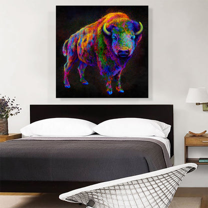 American Bison Buffalo Animal
