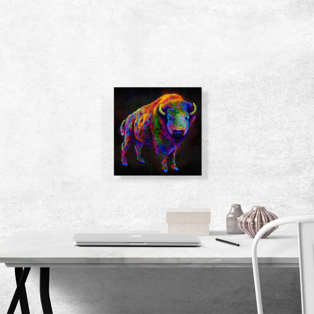 American Bison Buffalo Animal