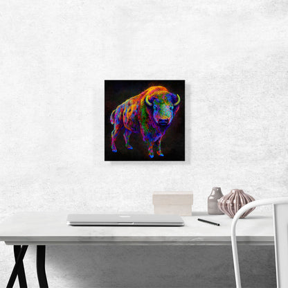 American Bison Buffalo Animal